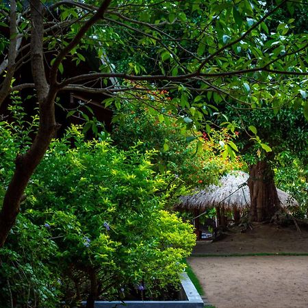 Arugambay Coco Bay Hotel Arugam Bay Buitenkant foto
