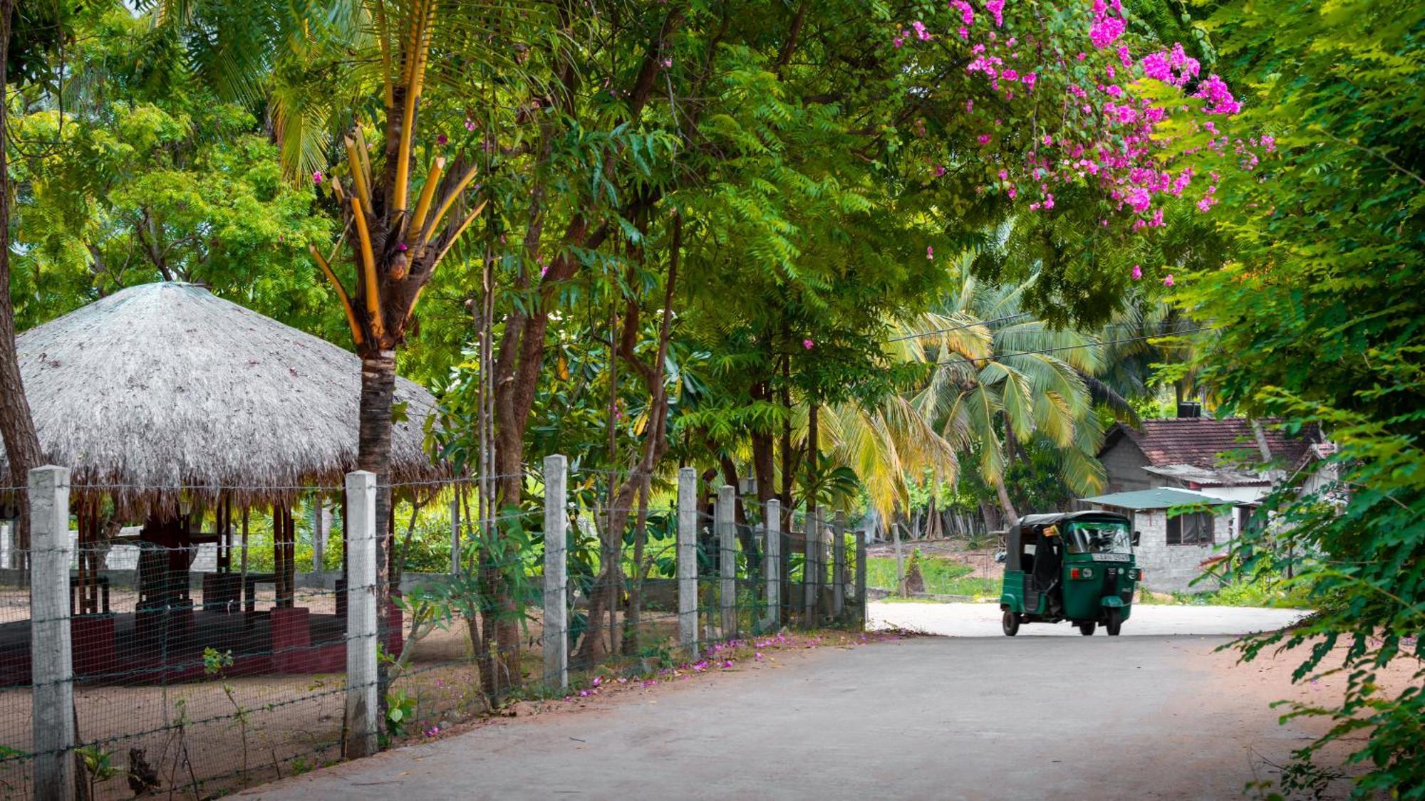 Arugambay Coco Bay Hotel Arugam Bay Buitenkant foto