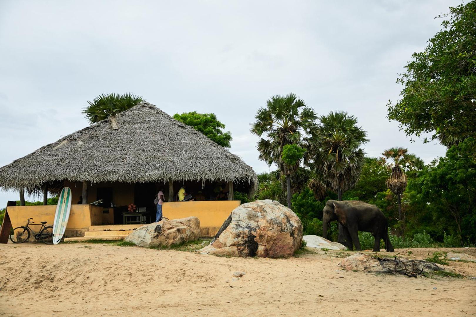 Arugambay Coco Bay Hotel Arugam Bay Buitenkant foto